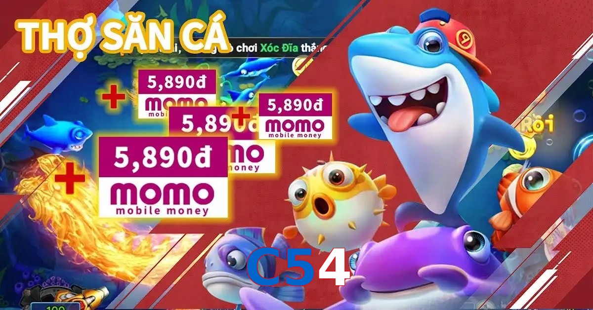 C54