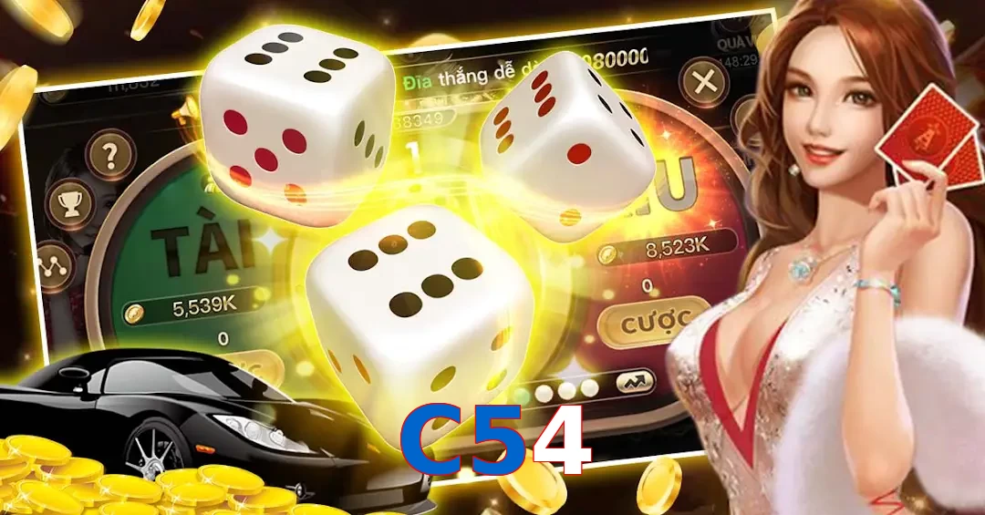 C54